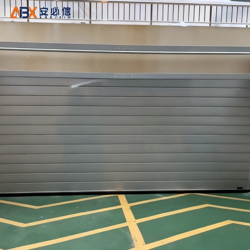 拉萨市金属高速门